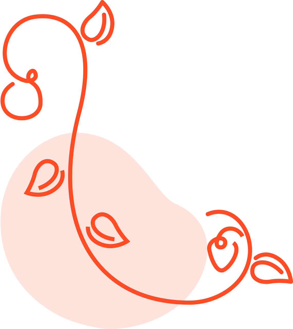 food-co-op-illustration-17@2x